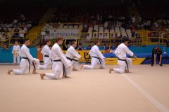corsi-karate-pavia-bambini-adulti14