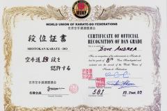 andrea_bove_hanshi_8_dan_wordl_union_karate_federation