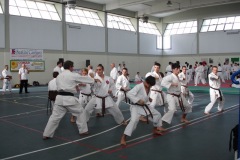 Karate Maestro Andrea Bove Shoto 56